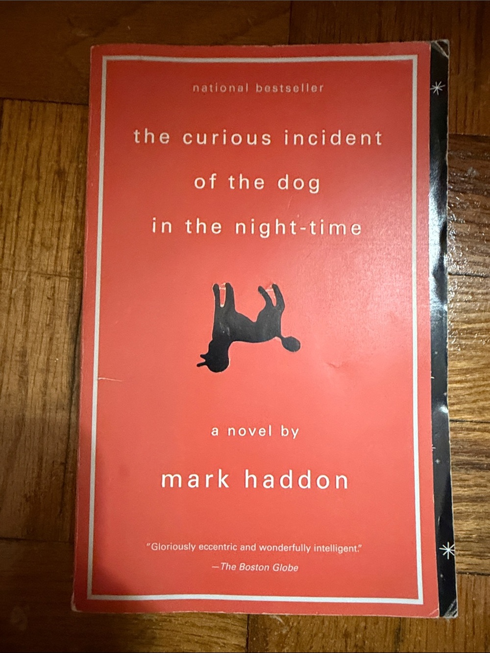 The Curious Incident of the Dog in the Night-Time by Mark Haddon - Red Cover